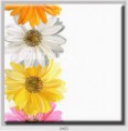 /album/photo-gallery-canvas-uri/decoratiuni-de-perete-canvas-lc-0453-jpg/